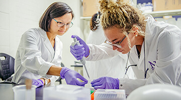 Image of two researchers in a lab.