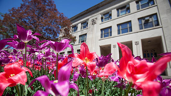 Northwestern campus and flowers.